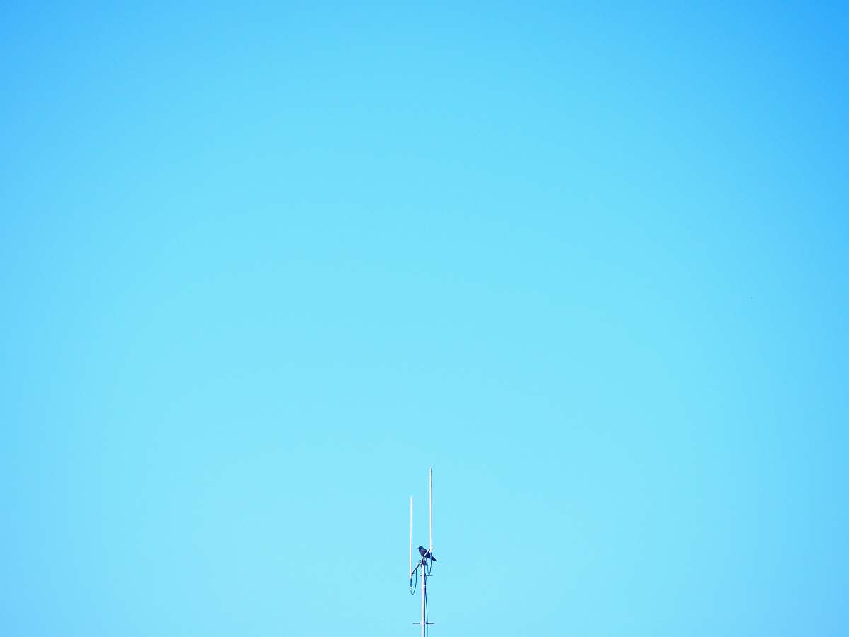 electrical device  antenna